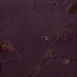 「紫仮山」MURASAKI-KASAN