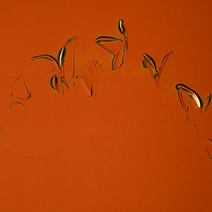 「花蝶」Butterfly Flowers・Acrylic on canvas