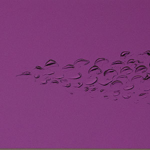 「州浜牡丹」-Purple Peony - acrylic on canvas